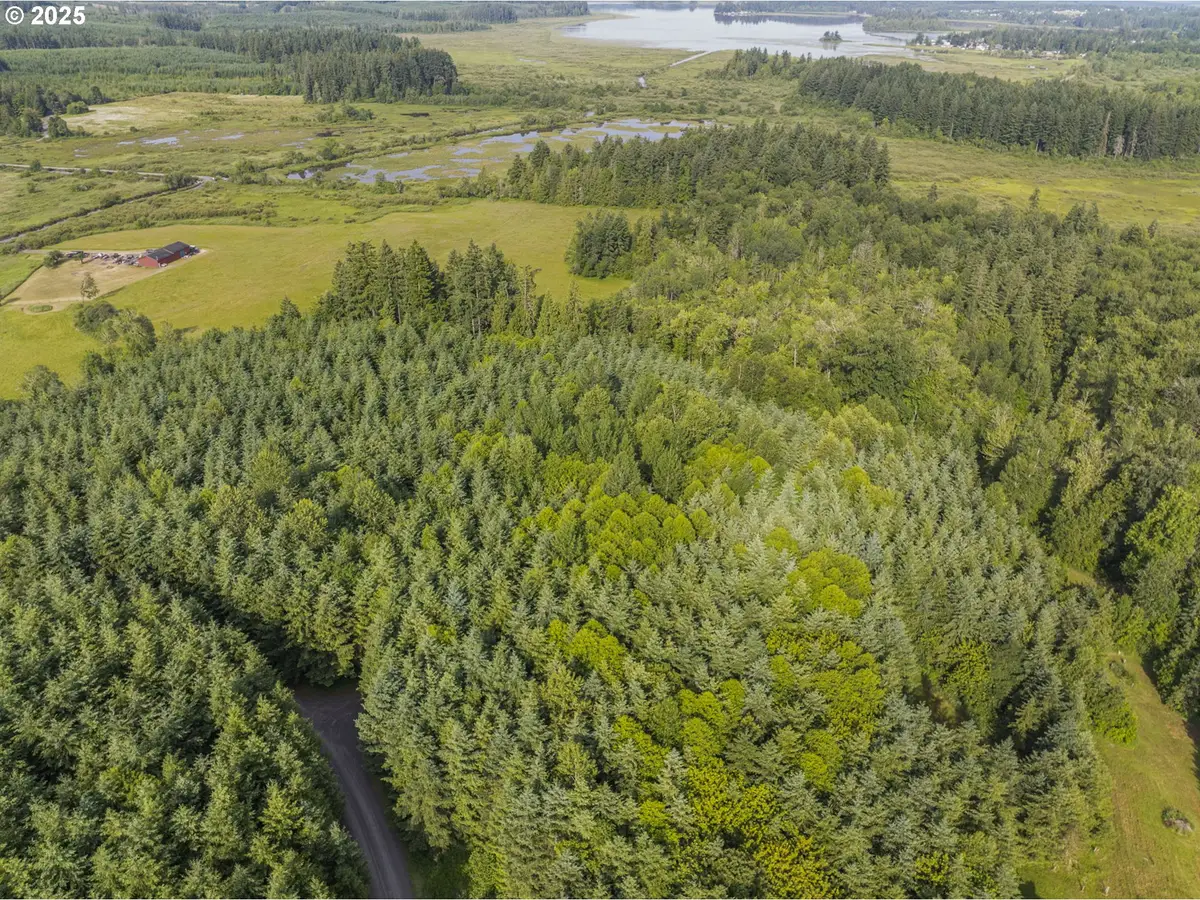 Grand Ridge Rd #Lot 17, Toutle, WA 98649 - Image #1