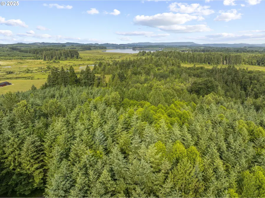 Grand Ridge Rd #Lot 17, Toutle, WA 98649 - Image #2