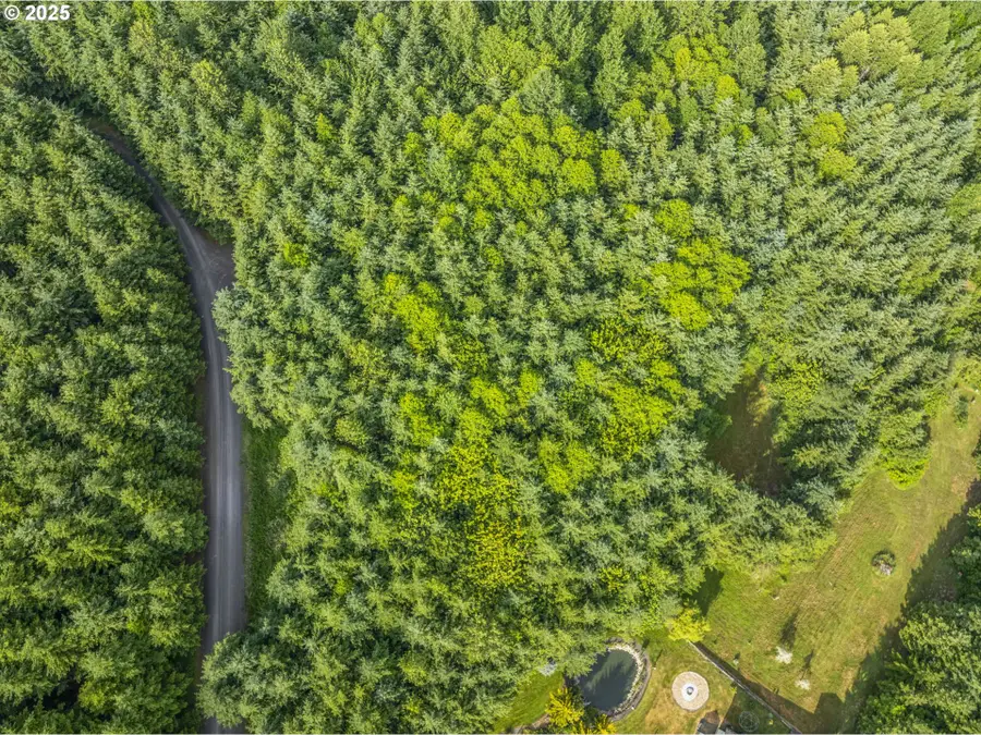 Grand Ridge Rd #Lot 17, Toutle, WA 98649 - Image #3