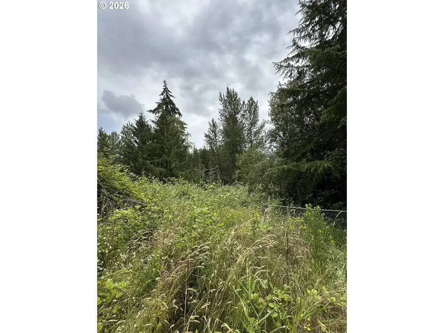 NW Vista Dr, Woodland, WA 98674 - #3
