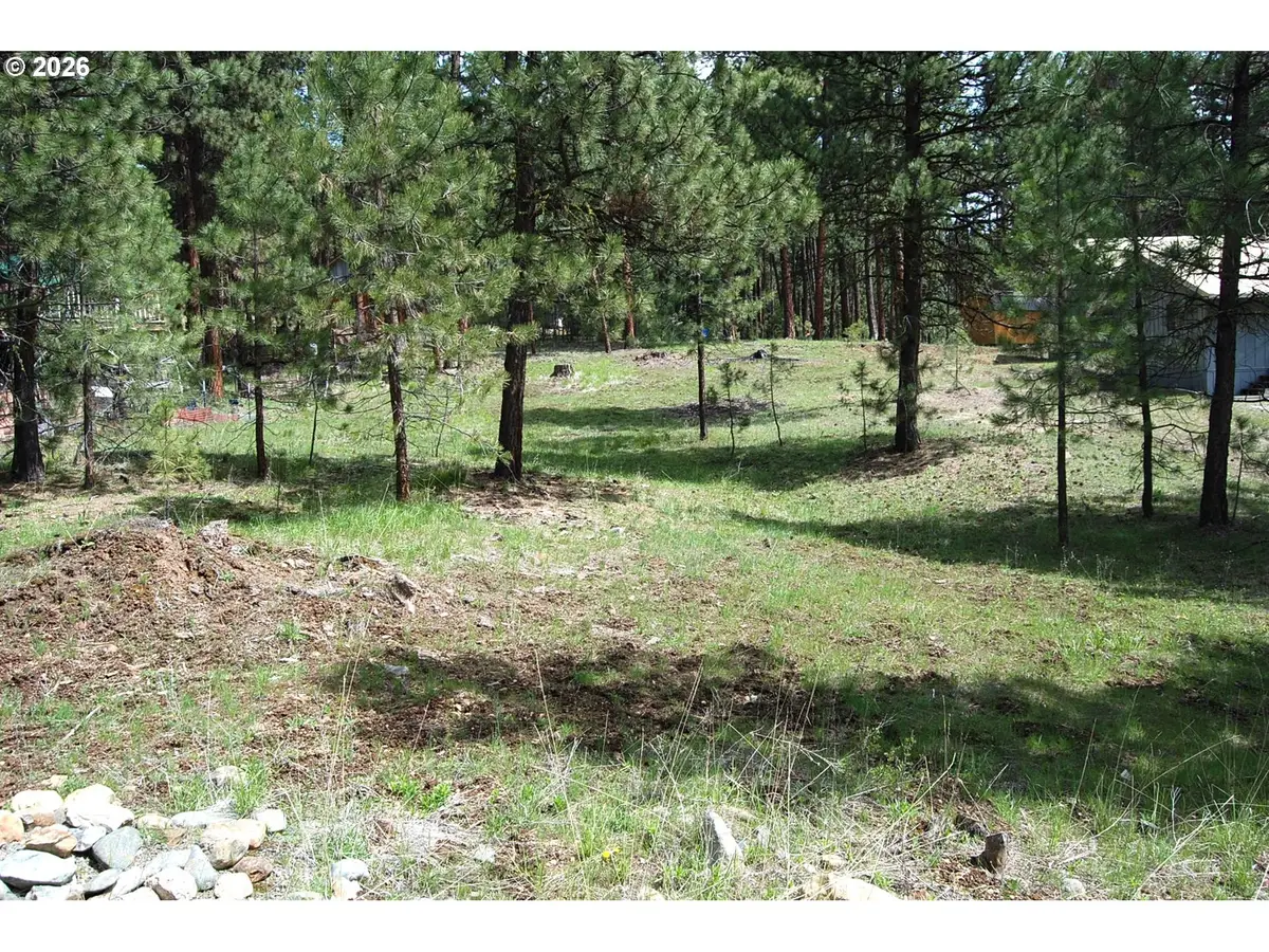 Ibex St, Sumpter, OR 97877 - #1