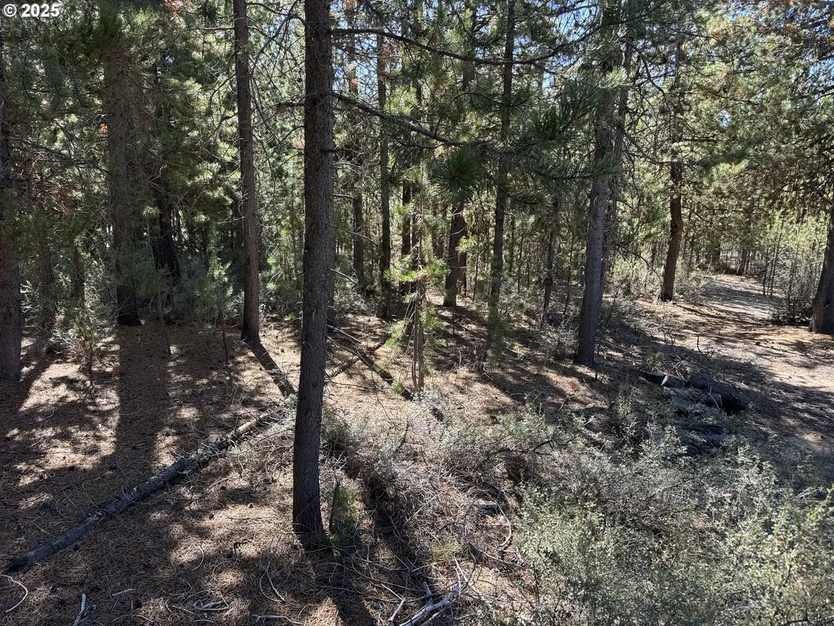 Crescent Moon Drive #30, Crescent Lake, OR 97733 - Image #1