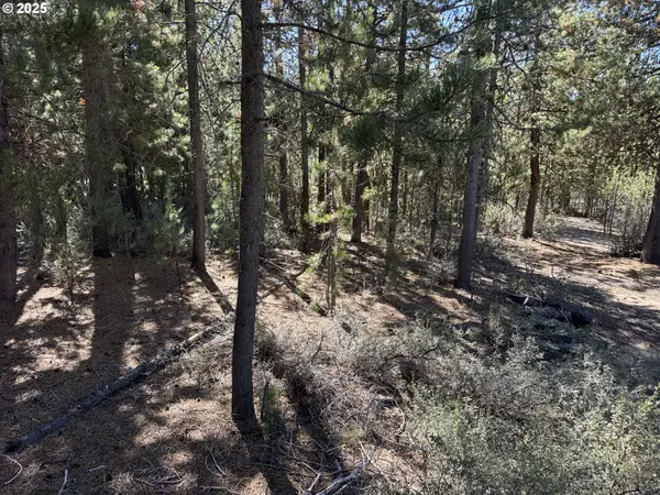 Crescent Moon Drive #30, CrescentLake, OR 97733