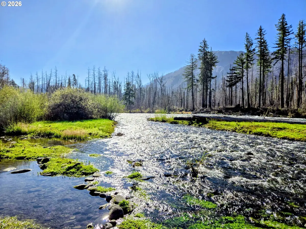 52912 Mckenzie Hwy, McKenzie River, OR 97413 - #1