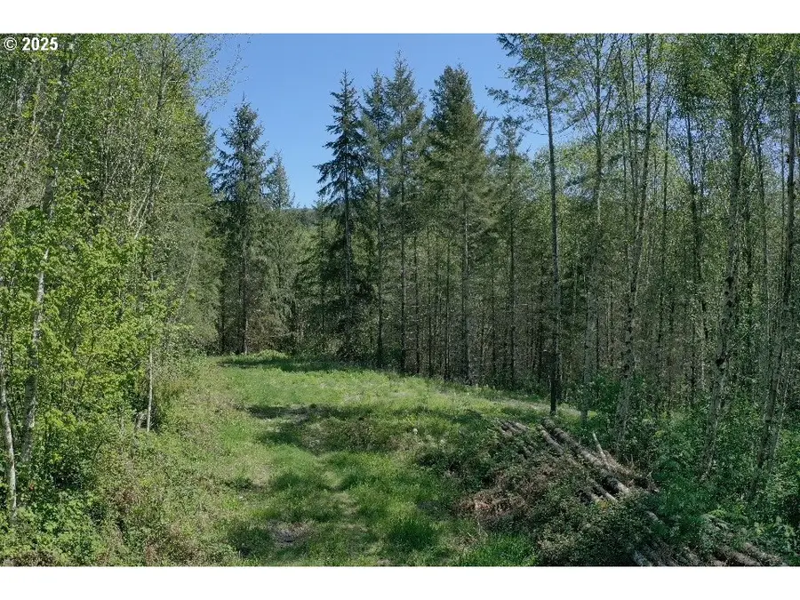 0 NE Elliott Rd #57, Yacolt, WA 98675 - Image #2