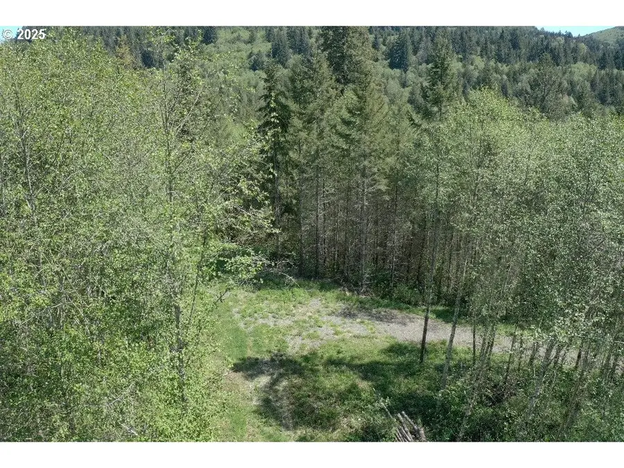 0 NE Elliott Rd #57, Yacolt, WA 98675 - Image #3