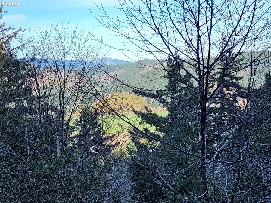 Hensley Hill Rd, Port Orford, OR 97465 - #3