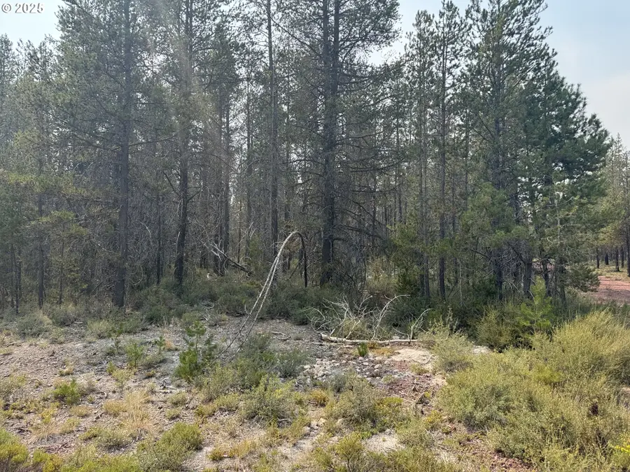 Cloudcap Drive #1, Chiloquin, OR 97624 - #2