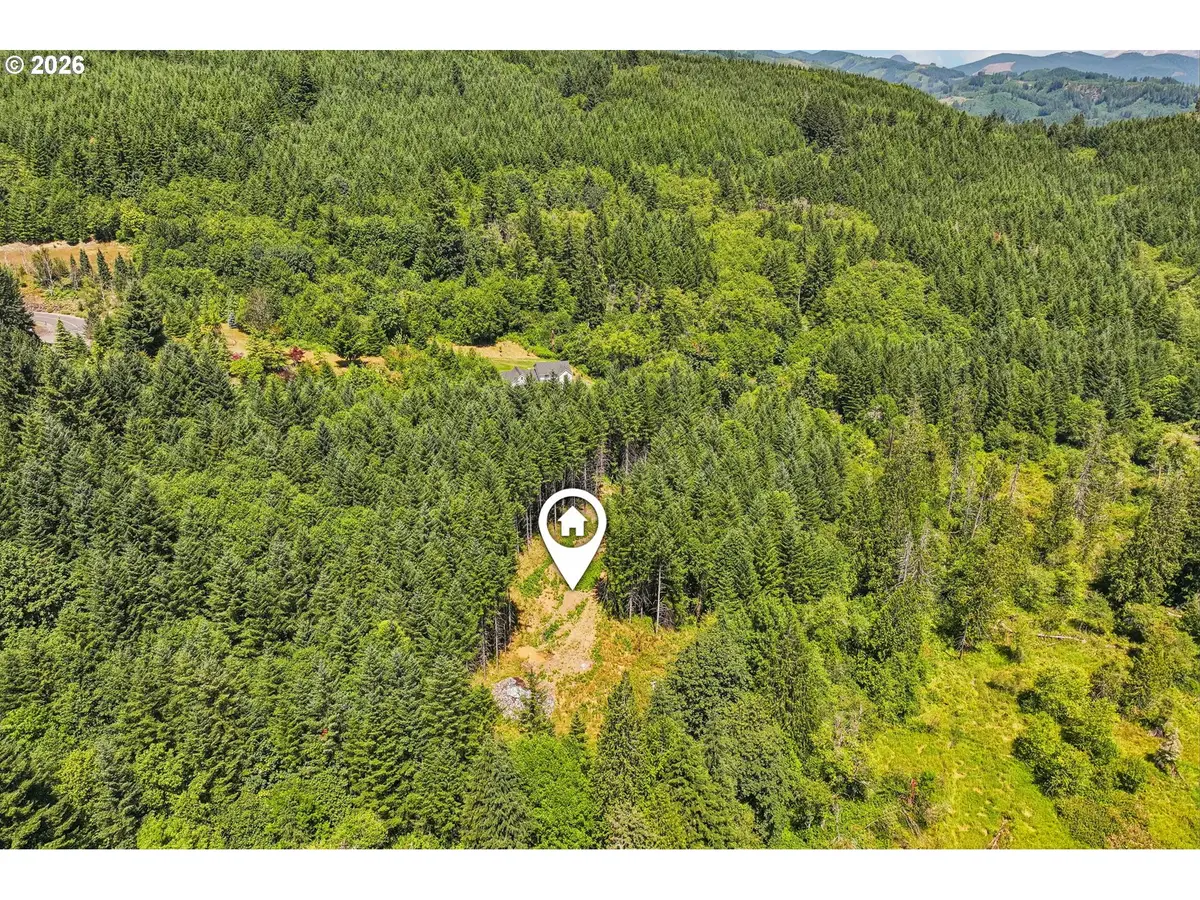 172 Mohawk Ln, Amboy, WA 98601 - #1