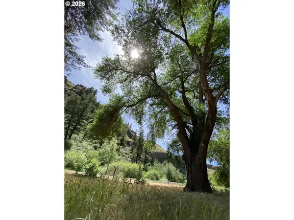 74170 Imnaha Highway, Joseph, OR 97846