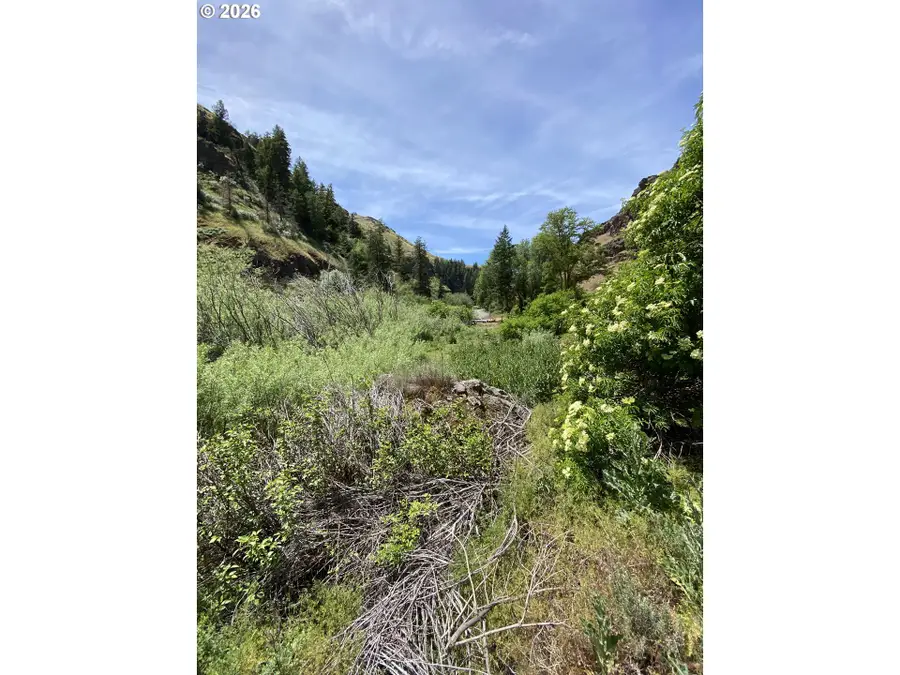 74170 Imnaha Highway, Joseph, OR 97846 - #2
