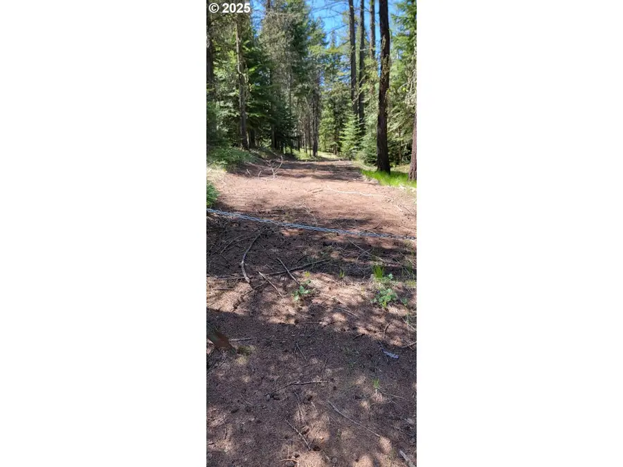 Chief Joseph Loop Rd, Joseph, OR 97846 - Image #3