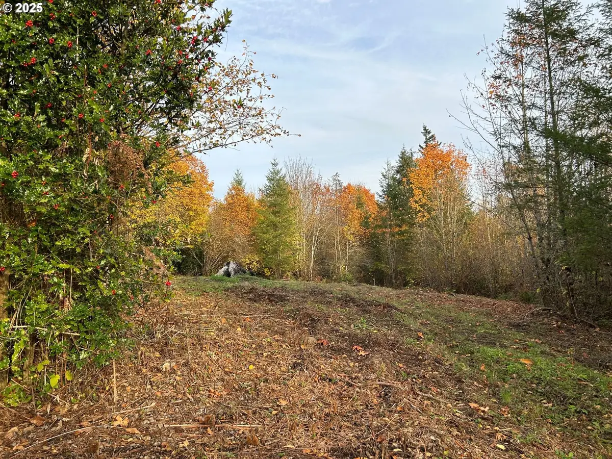 NE Fargher Dr #1, Yacolt, WA 98675 - Image #1