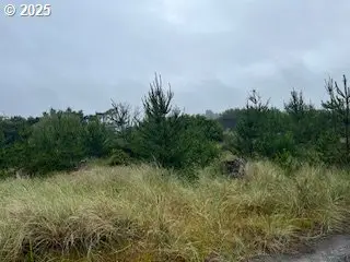 806 318th Pl, Long Beach North Beach Peninsula, WA 98640 - Image #3