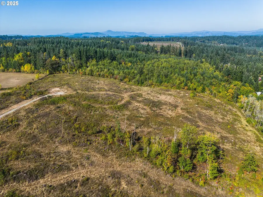 31807 NE 122nd Ave, Battle Ground, WA 98604 - #3