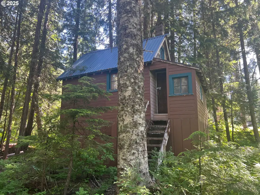 88792 E Government Camp Loop, Mount Hood Parkdale, OR 97028 - Image #2