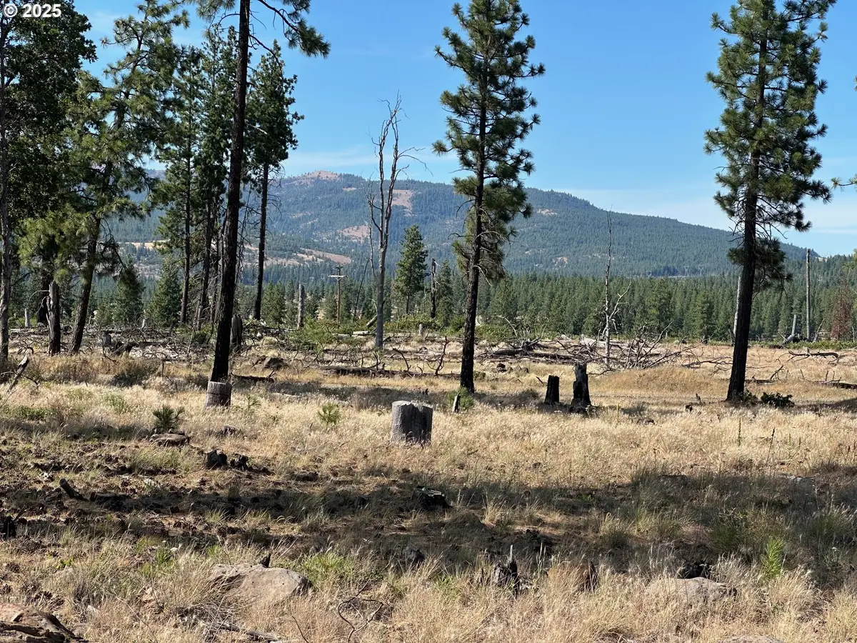 000 Lee Rd, Goldendale, WA 98620 - Image #1