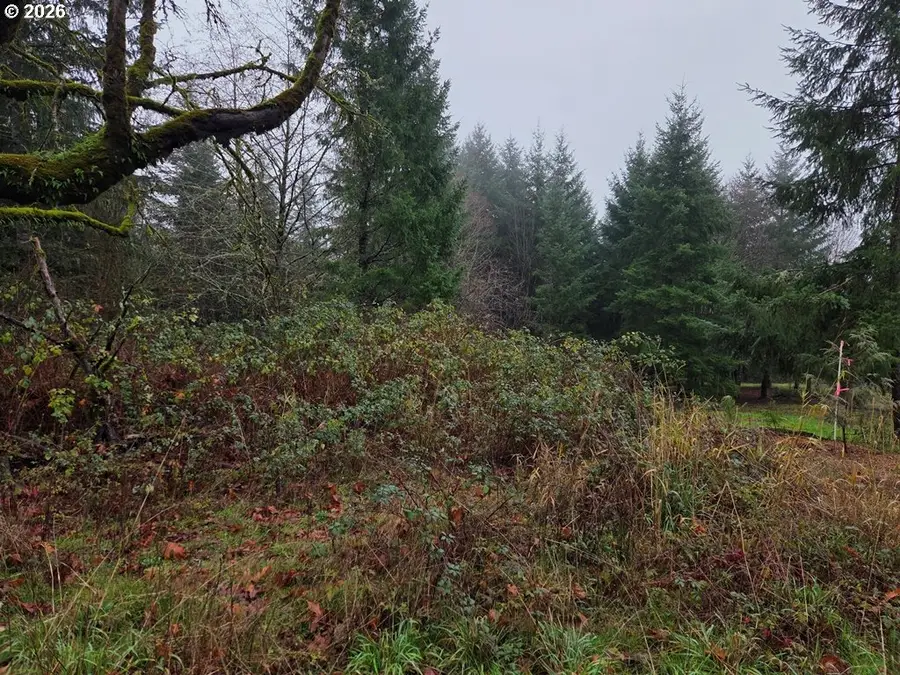 176 White Pine Rd, Castle Rock, WA 98611 - Image #3