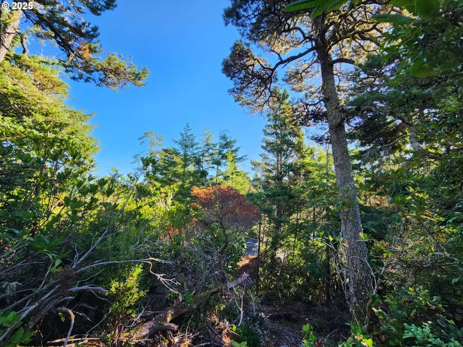 0 Windleaf Way #TL4100, Florence, OR 97439 - Image #2