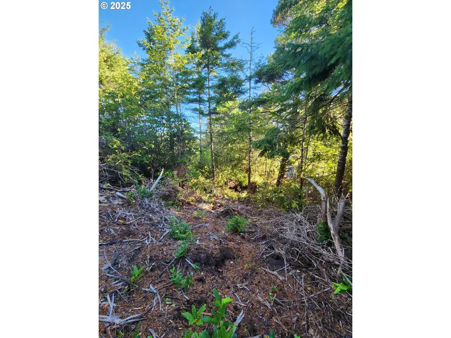 0 Windleaf Way #TL4100, Florence, OR 97439 - Image #3