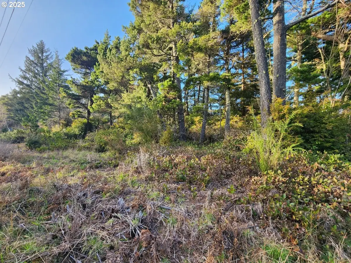 Airport Rd #800/900, Sixes, OR 97476 - Image #1