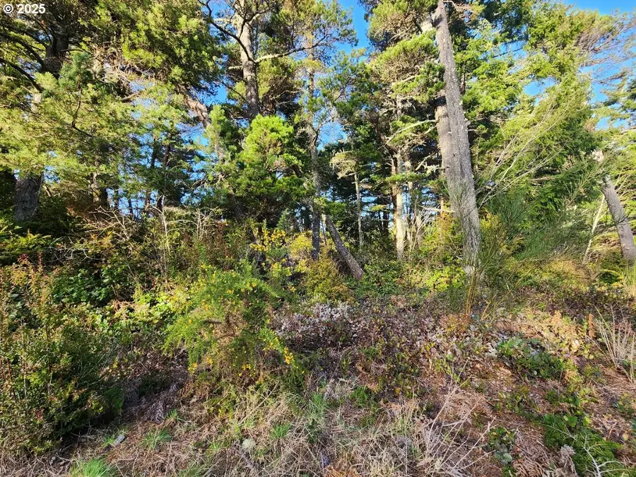 Airport Rd #800/900, Sixes, OR 97476 - Image #2