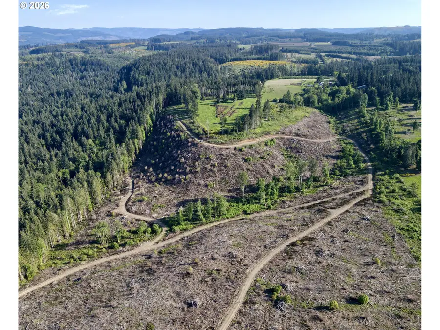 S Ellis Rd, Molalla, OR 97038 - #2