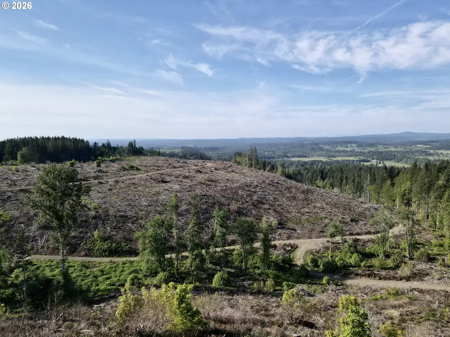 S Ellis Rd, Molalla, OR 97038 - #3