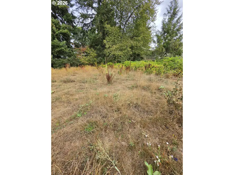 4129 NE 49th Ave, Vancouver, WA 98661 - #2