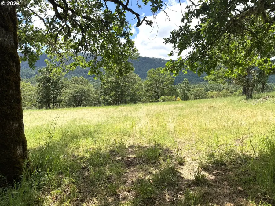 257 Bowler Ln, Oakland, OR 97462 - #2