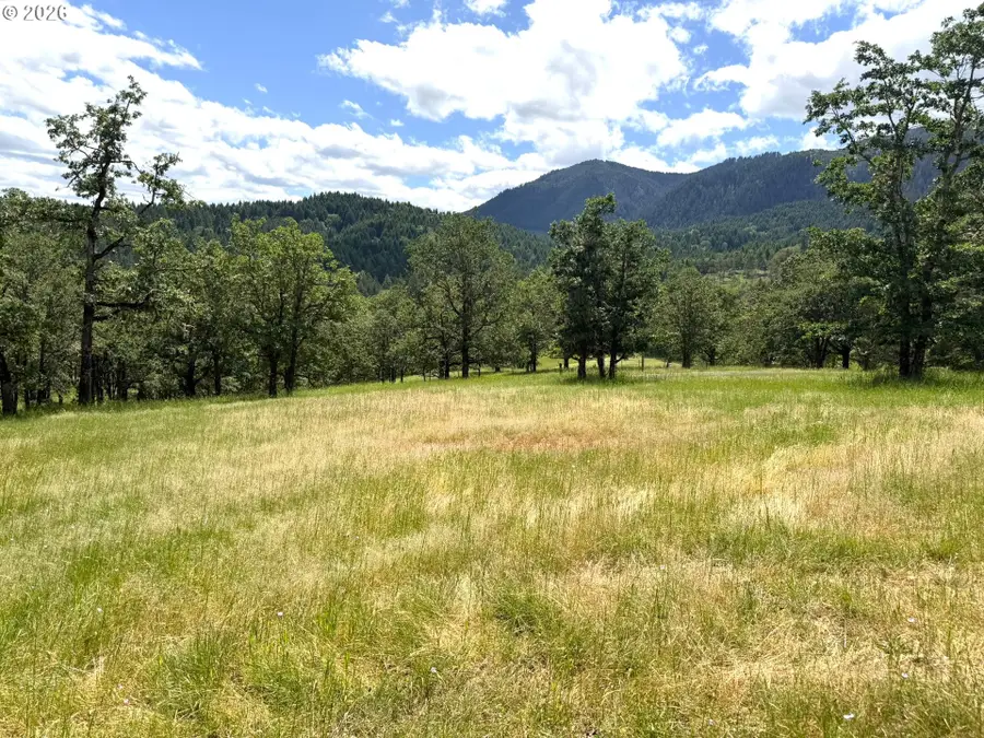 257 Bowler Ln, Oakland, OR 97462 - #3