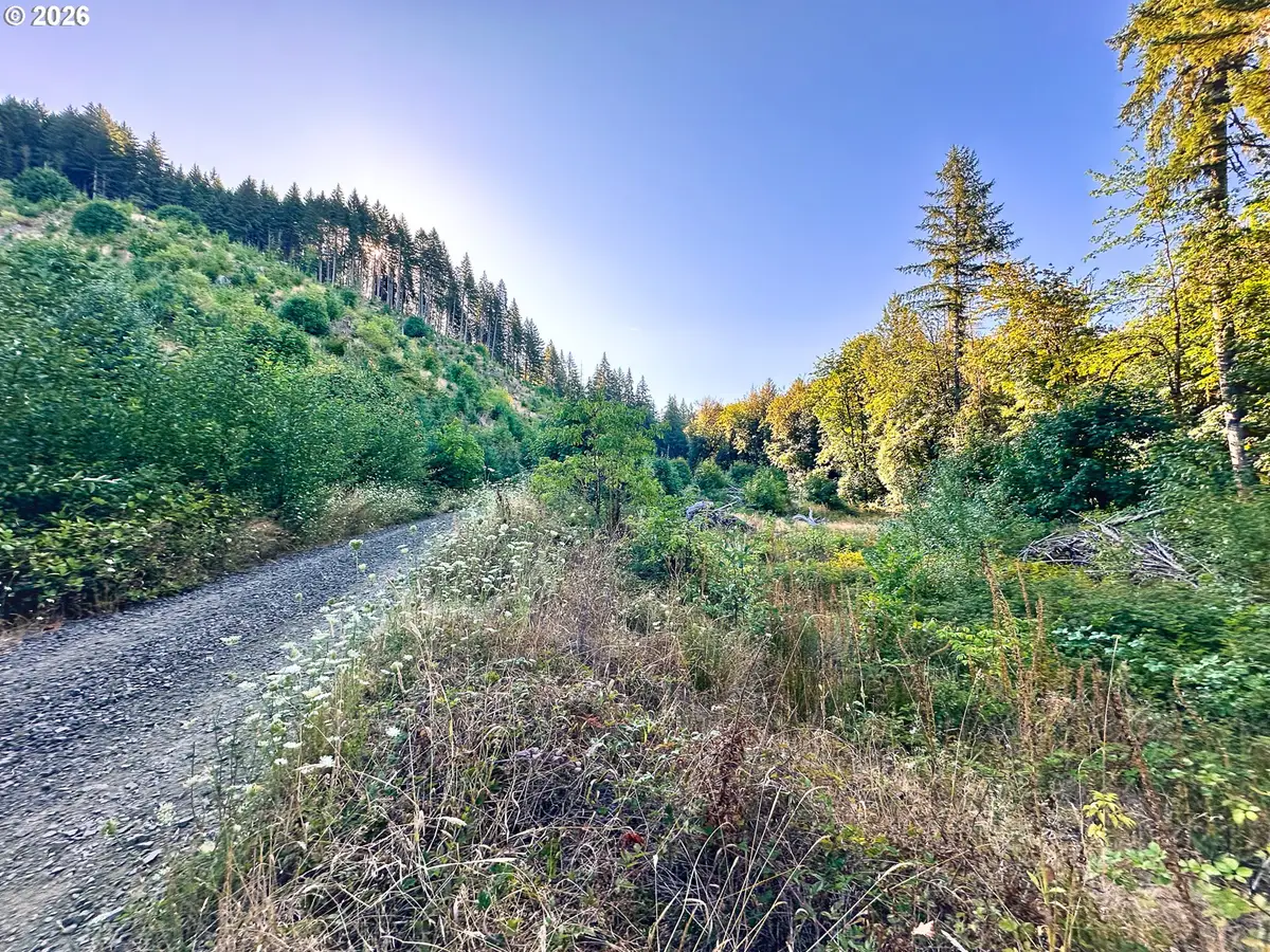 Honeygrove Rd #TL200, Alsea, OR 97324 - #1