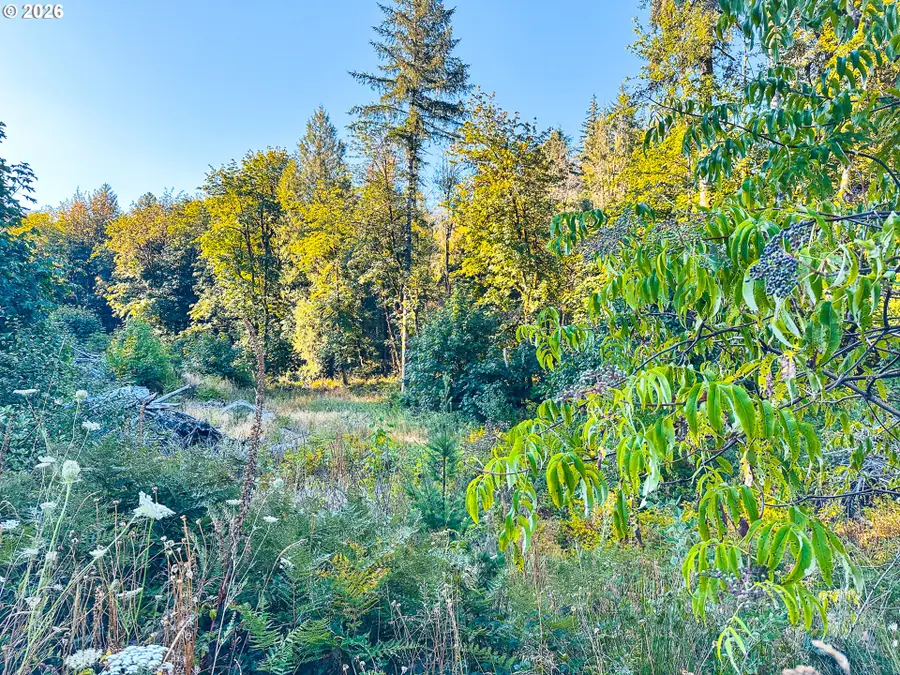 Honeygrove Rd #TL200, Alsea, OR 97324 - #3