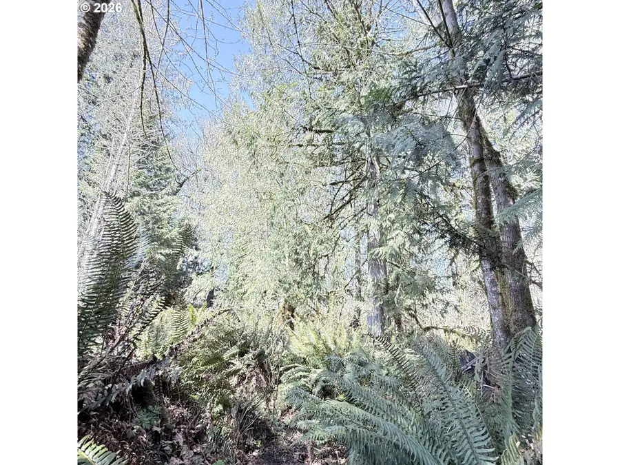 0000 N Louisiana Ave, Vernonia, OR 97064 - #3