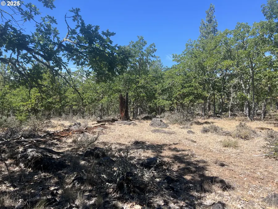 407 Blue Spruce Rd, Goldendale, WA 98620 - Image #2