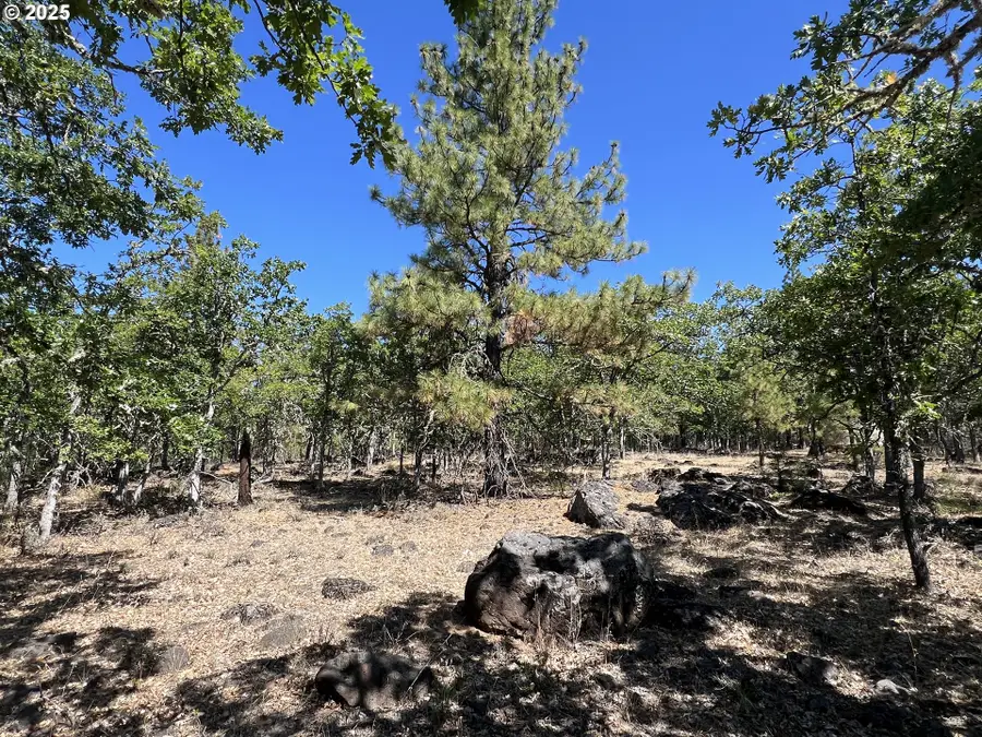 407 Blue Spruce Rd, Goldendale, WA 98620 - Image #3