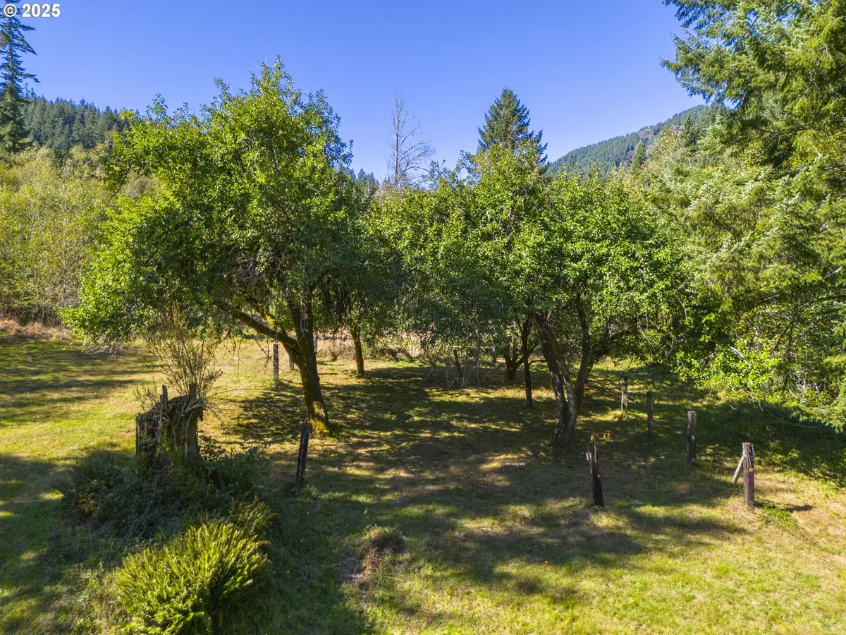 Tin Shack Road, Nehalem, OR 97131 - Image #1