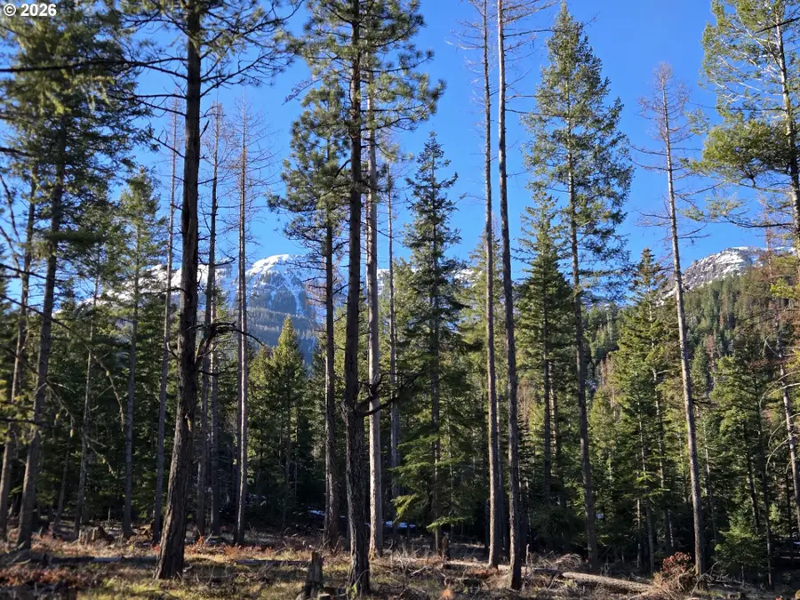 61005 Lime Quarry Rd, Enterprise, OR 97828 - #3