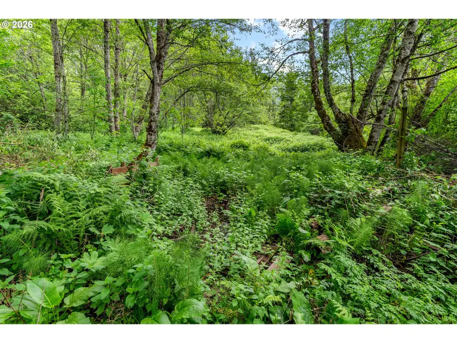 91 Rancho Del Oro, Stevenson, WA 98648 - #3