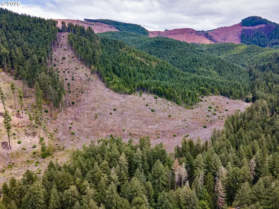 Sharps Creek Rd, Dorena, OR 97434 - Image #2