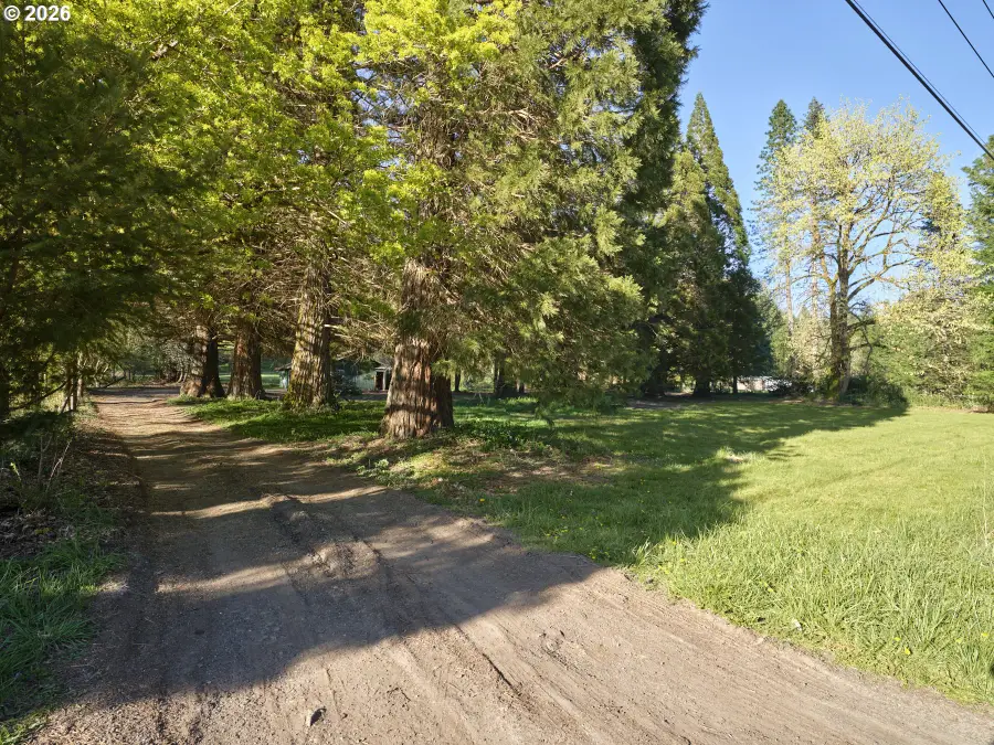 11846 Lewis River Rd, Ariel, WA 98603 - #3