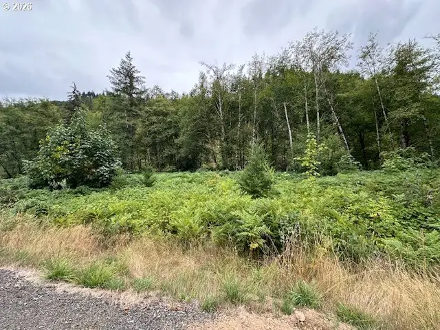 1 N Dubois Rd, Ariel, WA 98603 - #1