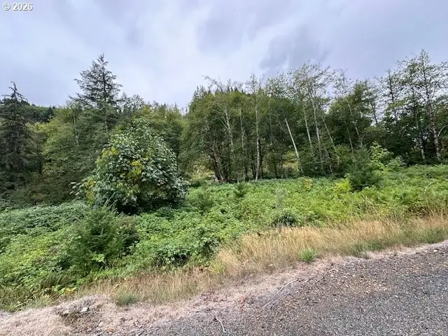 1 N Dubois Rd, Ariel, WA 98603 - #2