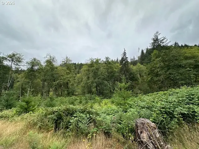1 N Dubois Rd, Ariel, WA 98603 - #3