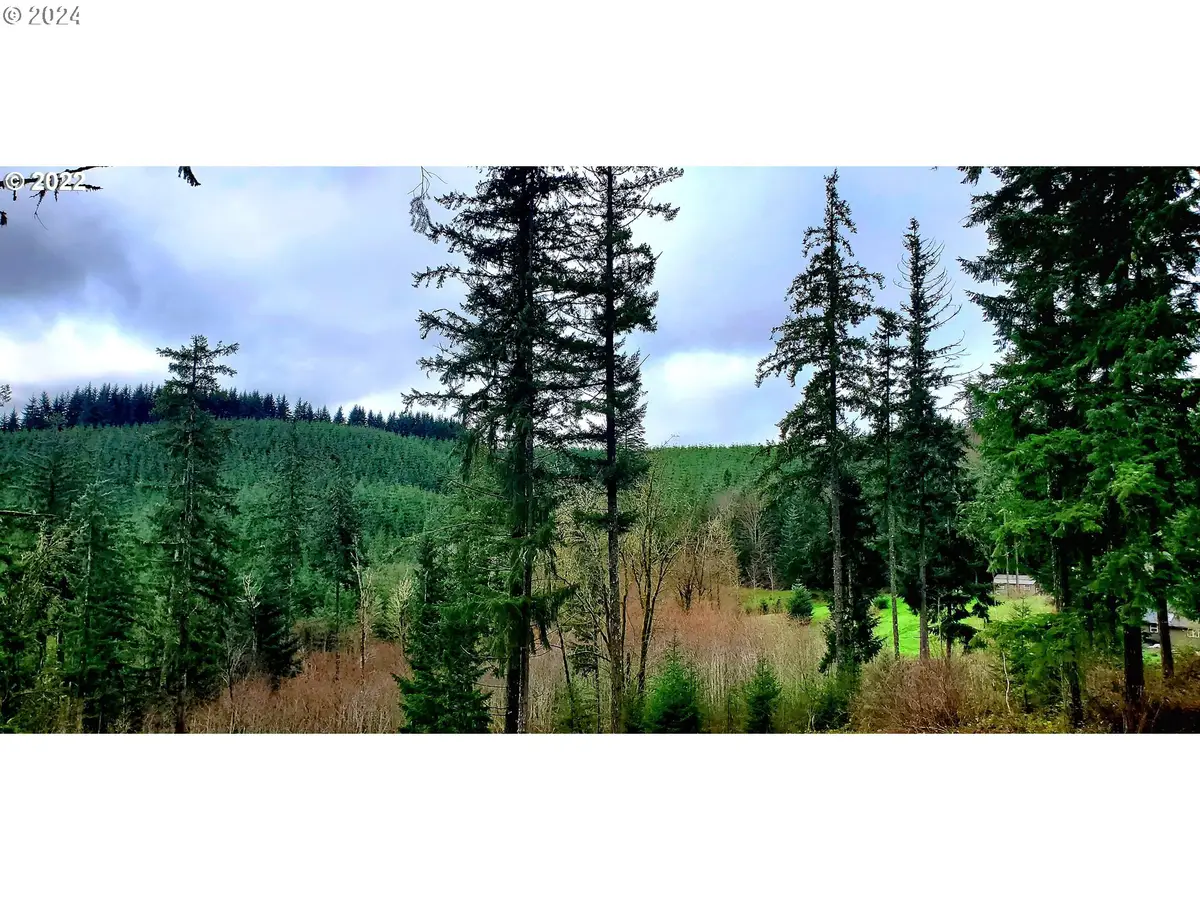 Viewcrest Dr, Warren, OR 97053 - #1