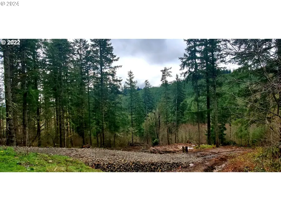 Viewcrest Dr, Warren, OR 97053 - #3