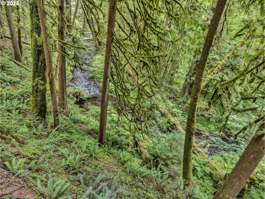 26467 E Henry Creek Rd, Rhododendron, OR 97049 - Image #2