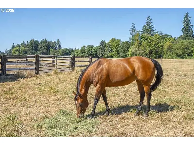 33844 SE White Oak Rd, Corvallis, OR 97333 - #2