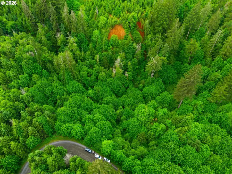 0000 NW Strassel Rd, Coast Range, OR 97116 - #3
