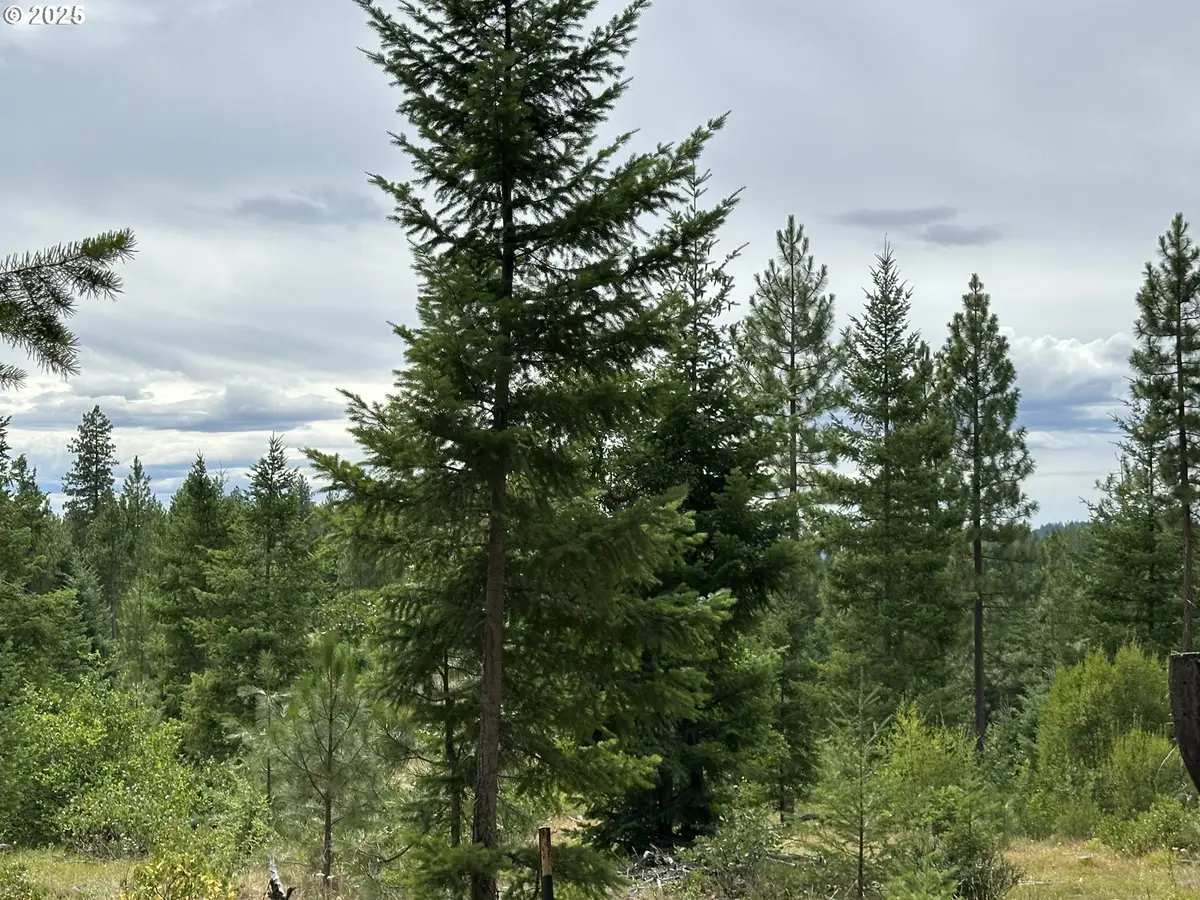 Forest Glen, Goldendale, WA 98620 - #1